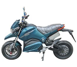 Electric Motorcycles