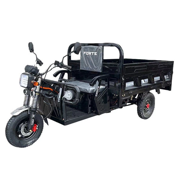 Electric Transportation Tricycle