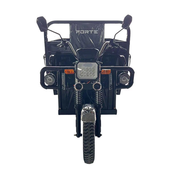 Electric Transportation Tricycle