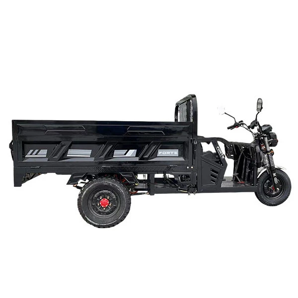 Electric Transportation Tricycle